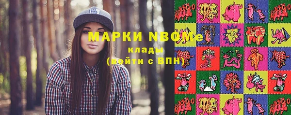 гидра Аркадак