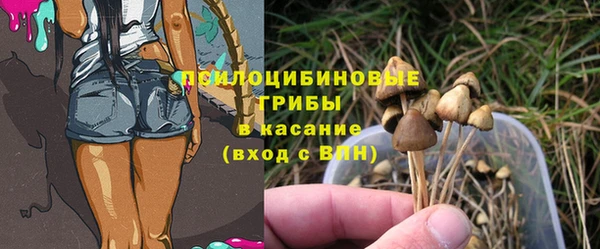 мяу мяу мука Арсеньев