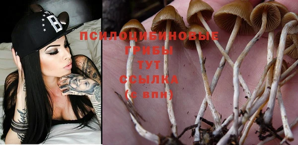 мяу мяу мука Арсеньев