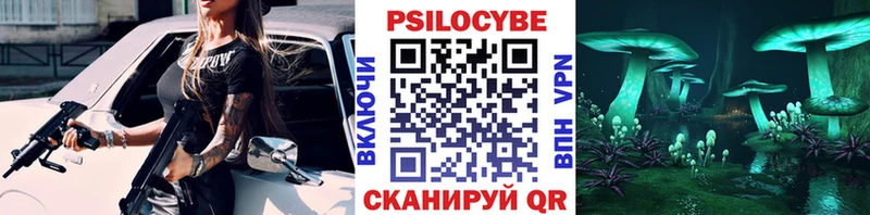 Галлюциногенные грибы Psilocybe  Кологрив 